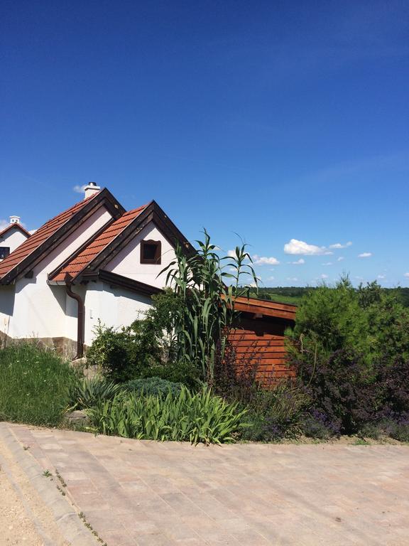 Voeroesmal Vendeghaz Appartement Balatonfüred Buitenkant foto